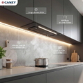 Máy hút mùi âm tủ Canzy CZ H175AT