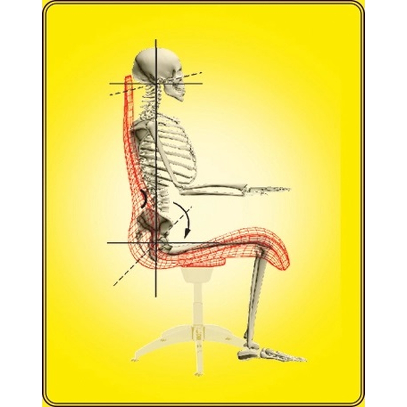 Ghế hỗ trợ nắn chỉnh cột sống DOCTORLOAN 95G