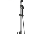 Sen Tắm Cây Đứng Màu Đen Bravat F6421454BW-A