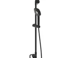 Sen Tắm Cây Đứng Màu Đen Bravat F6421454BW-A