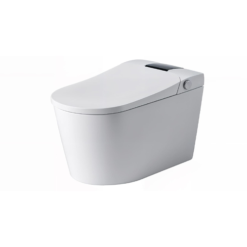 Bồn cầu thông minh BRAVAT C29023W3-3