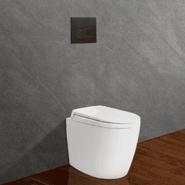 Bồn cầu đặt sàn két nước âm tường