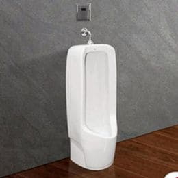 Tiểu nam đặt sàn