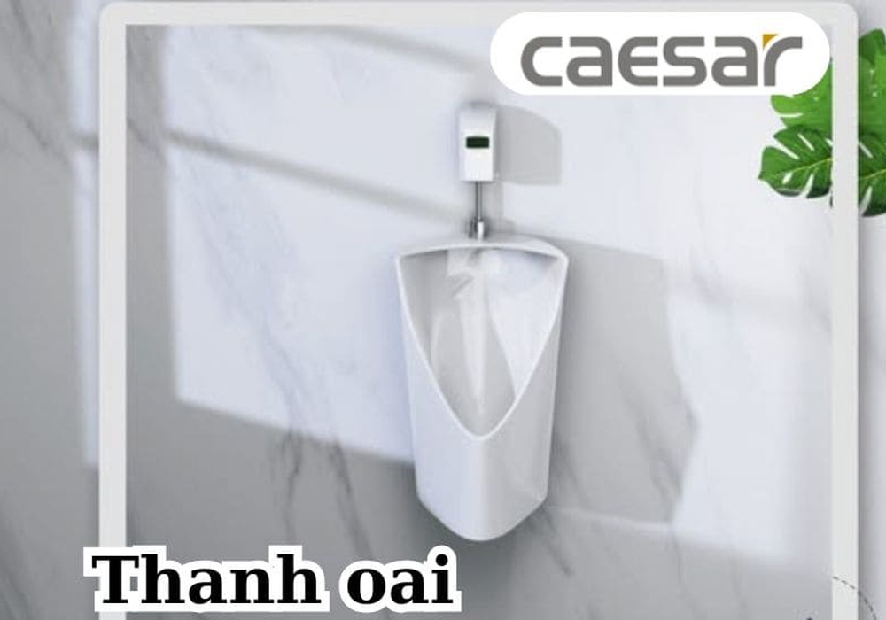 Thiết bị vệ sinh Caesar tại Thanh Oai, Hà Nội 