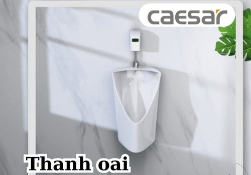 Thiết bị vệ sinh Caesar tại Thanh Oai, Hà Nội 
