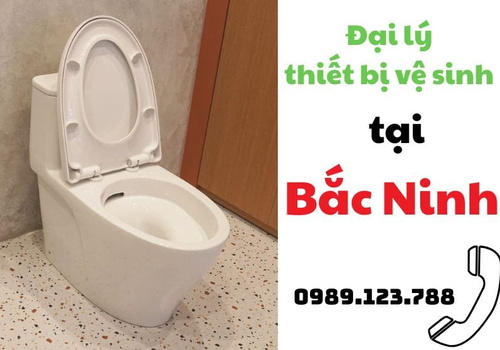 Đại lý thiết bị vệ sinh tại Bắc Ninh