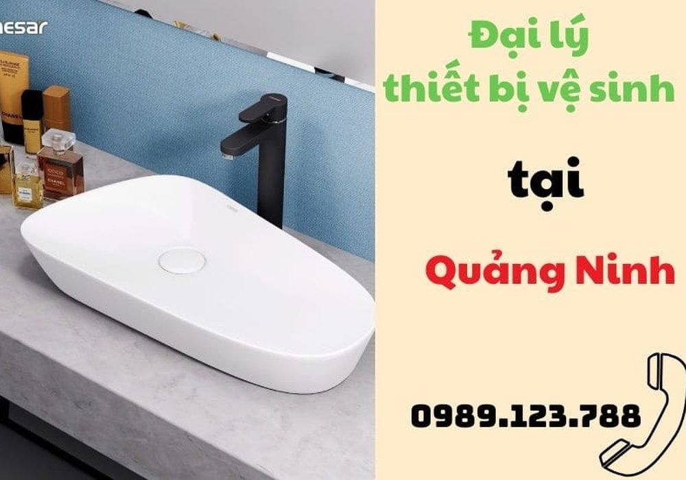 Đại lý thiết bị vệ sinh tại Quảng Ninh