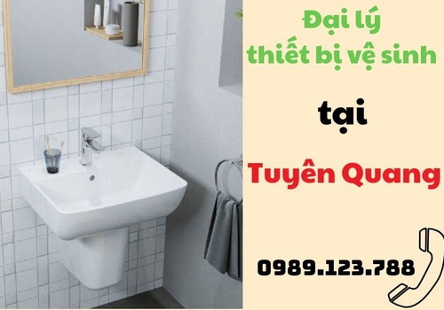 Đại lý thiết bị vệ sinh tại Tuyên Quang 