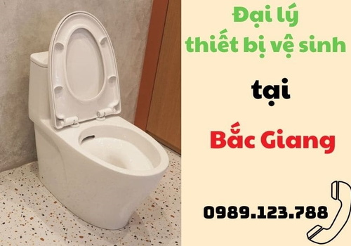 Đại lý thiết bị vệ sinh tại Bắc Giang