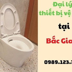 Đại lý thiết bị vệ sinh tại Bắc Giang