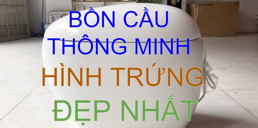 Bồn cầu thông minh hình trứng Vigalacera 96