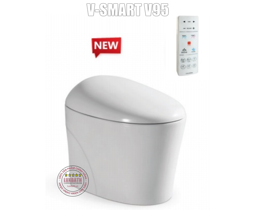 bon-cau-thong-minh-v95-viglacera-gia-re-Ho-Chi-Minh