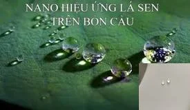 Nano-hieu-ung-la-sen