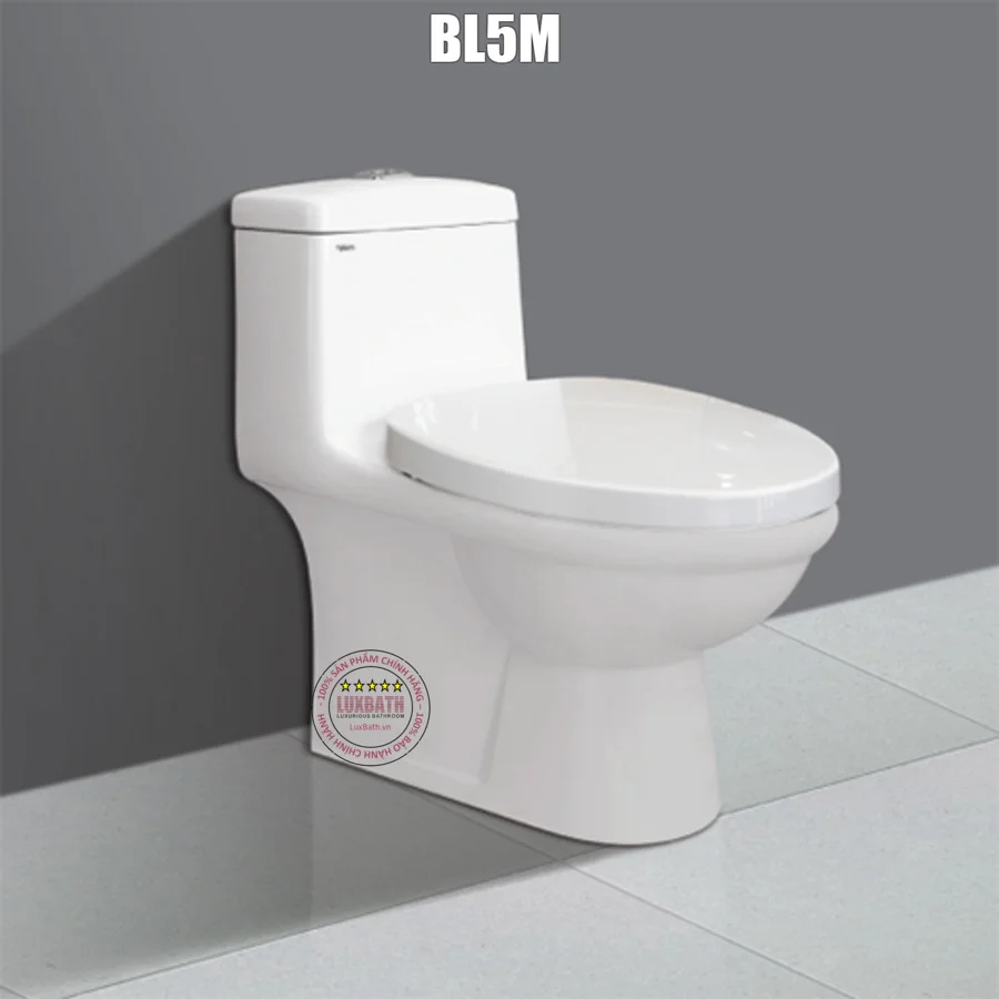 Bon-cau-1-khoi-viglacera-BL5M