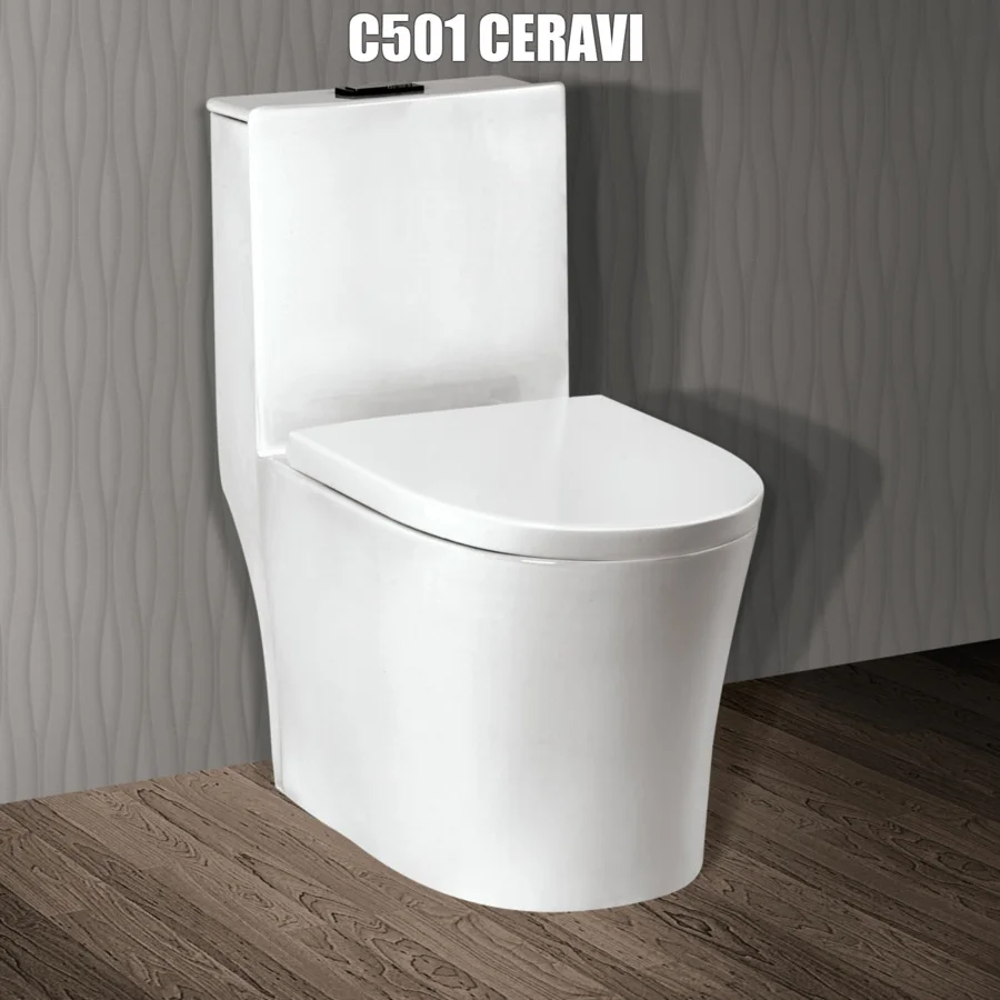 bon-cau-1-khoi-ceravi-c501-do-luxbath-cung-cap