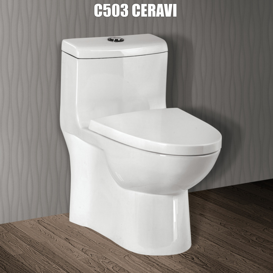 Bon-cau-1-khoi-Ceravi-C503-do-luxbath-cung-cap