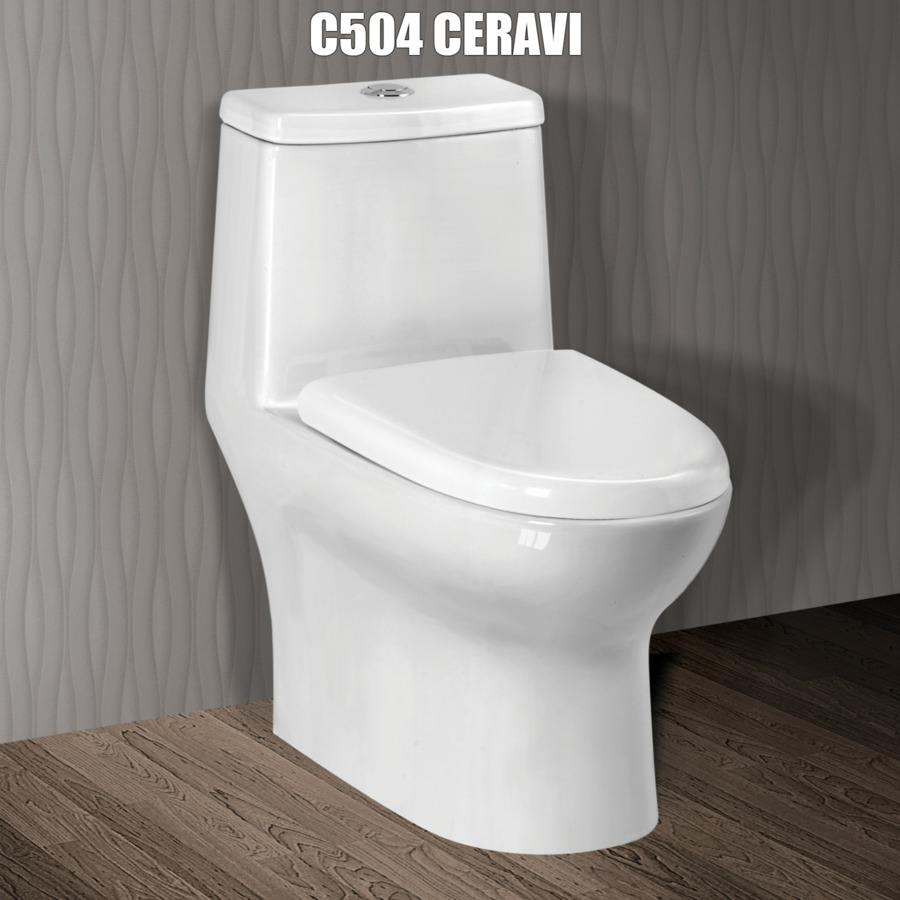 Bon-cau-1-khoi-Ceravi-C504-do-luxbath-cung-cap