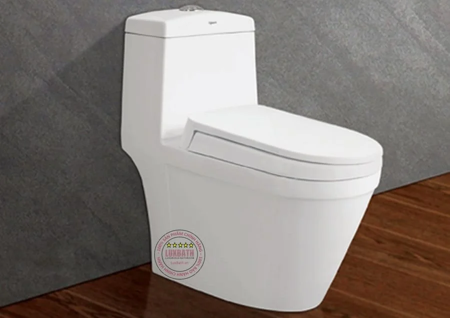 Bon-cau-1-khoi-viglacera-v35-do-luxbath-cung-cap