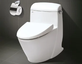 Bàn cầu 1 khối Inax AC-918VRN-1