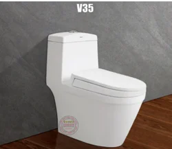 Bàn cầu liền khối Viglacera V35