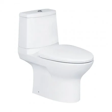 Bàn Cầu 2 Khối COTTO C12377 Chloe