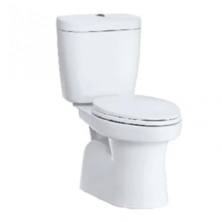 Bàn Cầu 2 Khối COTTO C13882 Titan