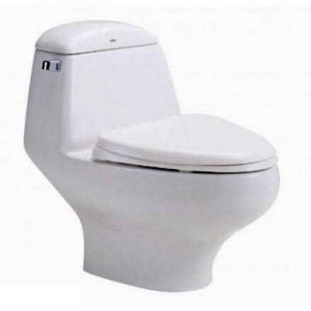 Bàn Cầu 1 Khối COTTO C1046 Astoria