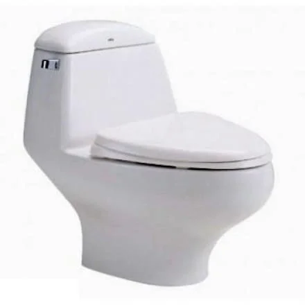 Bàn Cầu 1 Khối COTTO C1046 Astoria
