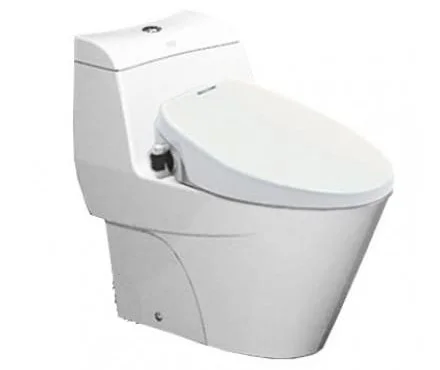Bàn Cầu 1 Khối Nắp Rửa Cơ AMERICAN STANDARD VF-2010S