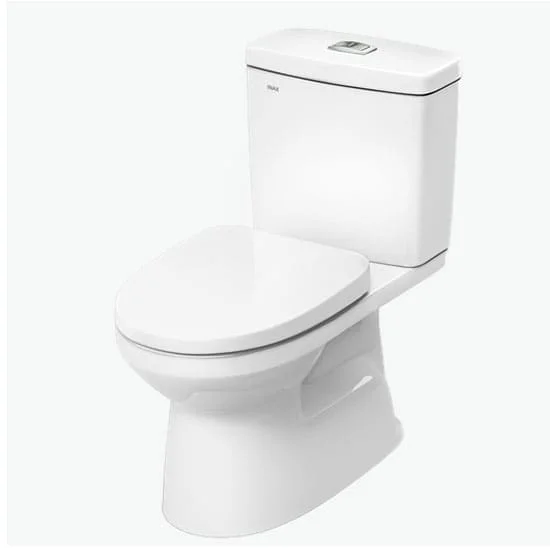 Bồn cầu nắp rửa điện tử Inax AC-G216VN/BW1