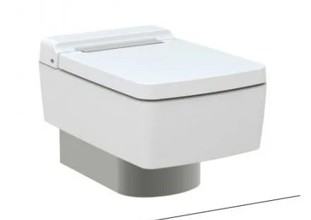 Bàn Cầu âm tường TOTO CW512YR/7EE0007/TC501CVK