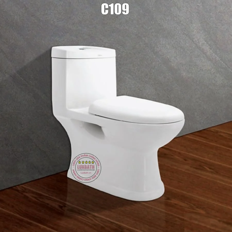Bồn cầu 1 khối Viglacera nhỏ gọn C109