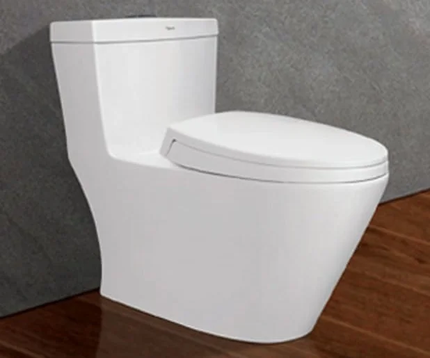 Bồn cầu 1 khối vuông Viglacera V62