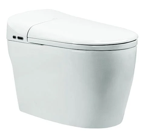 Bồn Cầu 2 Khối Nắp Êm Dugi DG2504
