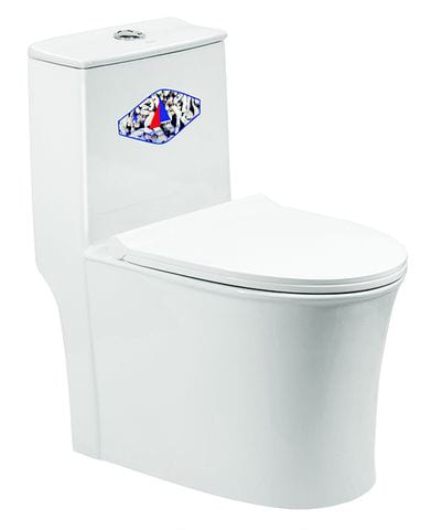 Bồn Cầu 2 Khối Nắp Êm Dugi DG2504