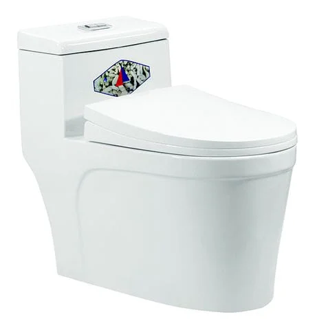 Bồn Cầu 2 Khối Nắp Êm Dugi DG2504