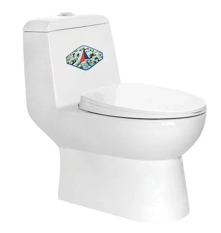 Bồn Cầu 2 Khối Nắp Êm Dugi DG2504