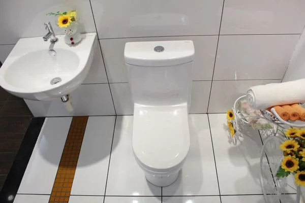 Bồn cầu 1 khối Caesar C1352