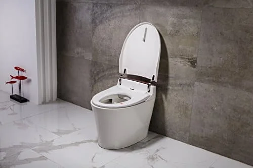 Bồn cầu thông minh Kohler