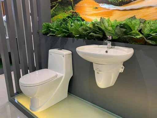 Chậu rửa mặt treo tường Viglacera VI5