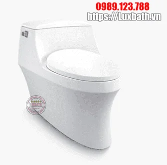 Bồn cầu Kohler K-8688T-S-0 một khối