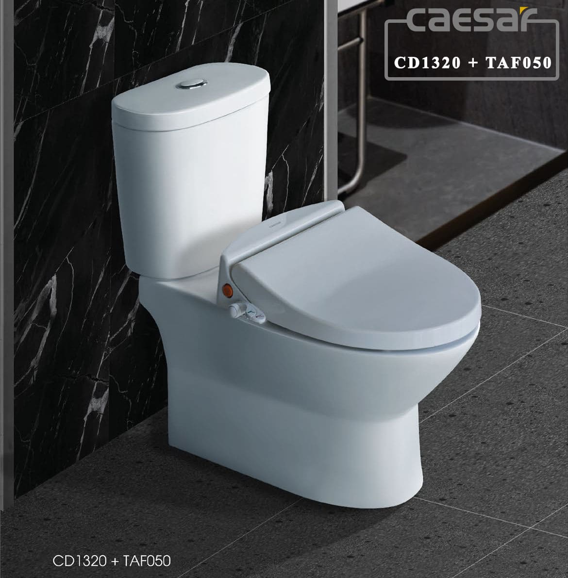 Bồn Cầu Xổm Caesar CS1230 