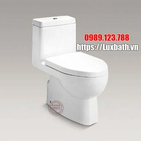 Bồn cầu 1 khối Kohler K-3983T-S2-0