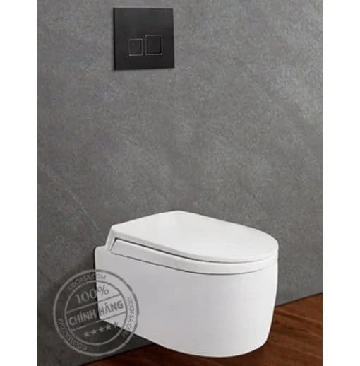 Bồn cầu két âm tường Viglacera V55KA
