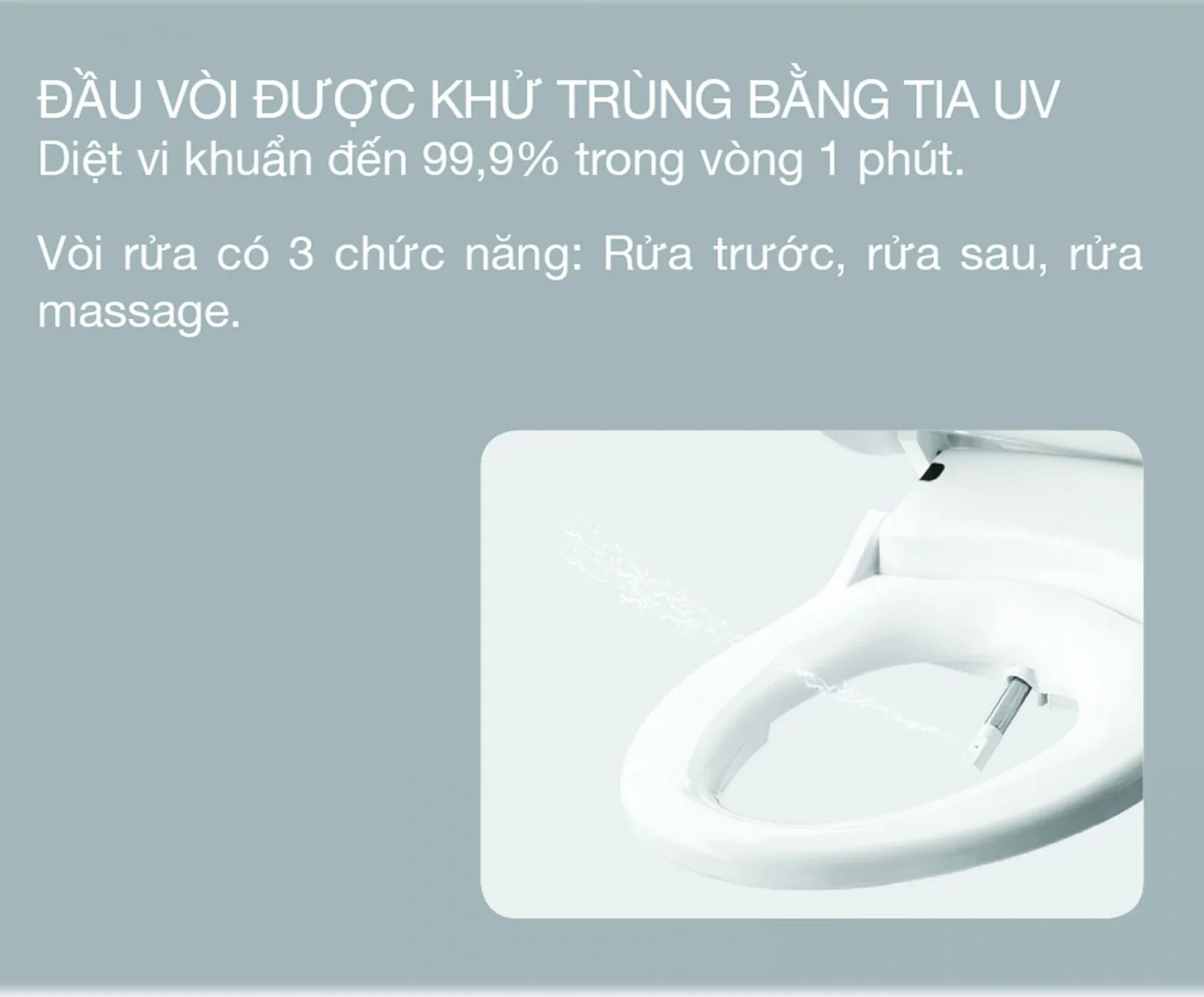 bồn cầu điện tử Viglacera 