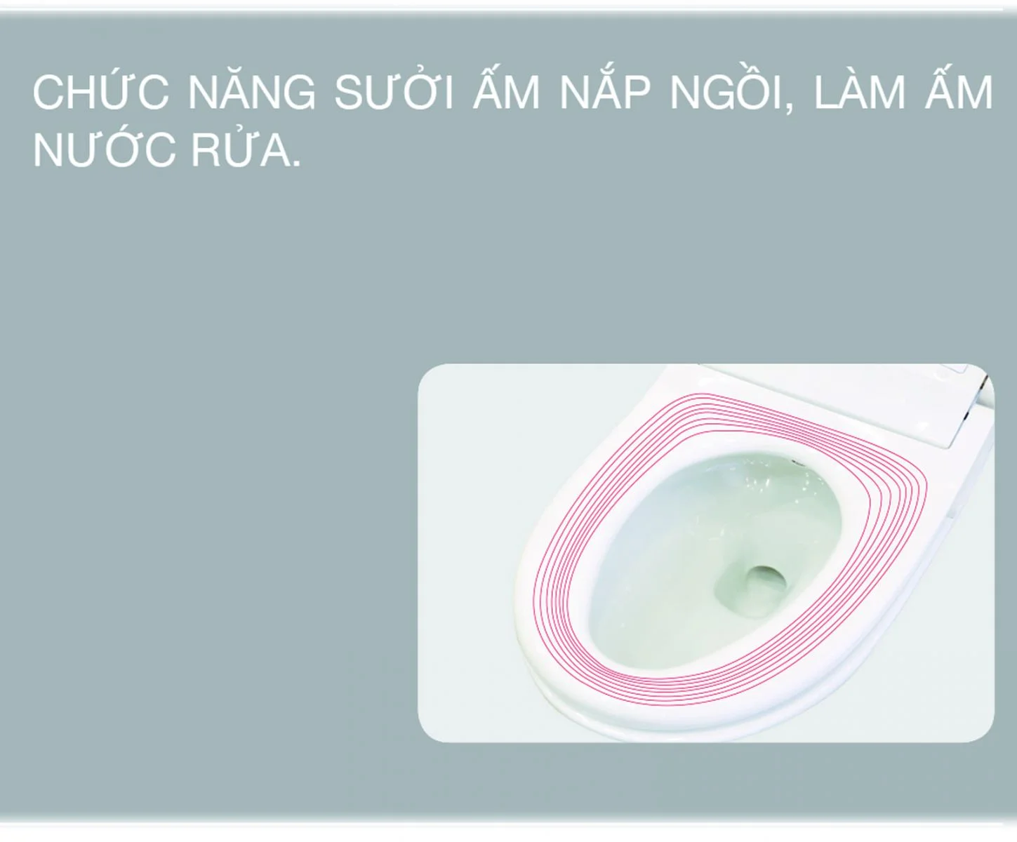 Nắp điện tử bồn cầu thông minh Viglacera
