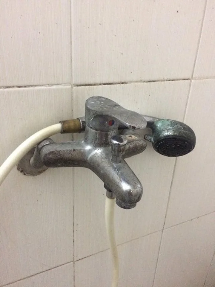 Dấu Hiệu Nào Cần Thay Sen Tắm Mới Cho Gia Đình Bạn