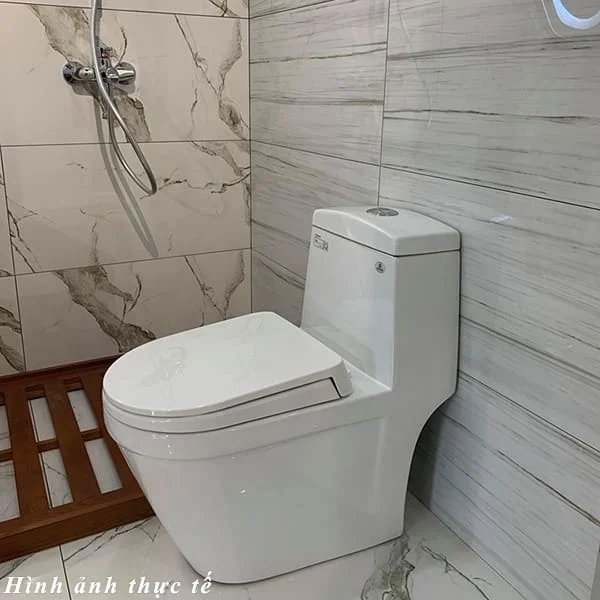 Bồn Cầu 1 Khối Viglacera V35