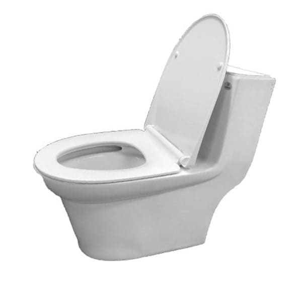 Bồn cầu 1 khối nắp êm Viglacera BL5V