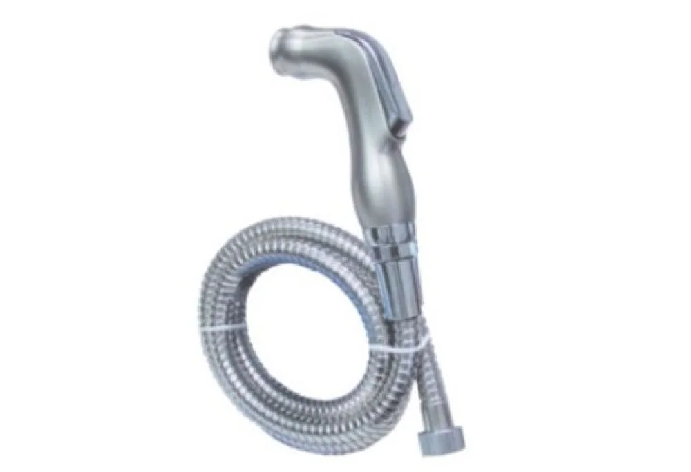 Vòi xịt vệ sinh mạ American Standard PQ2